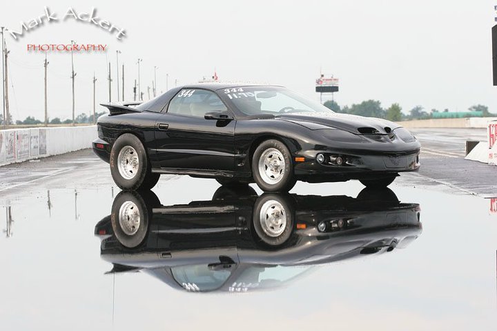 Heather's Firebird